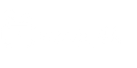Smart 4